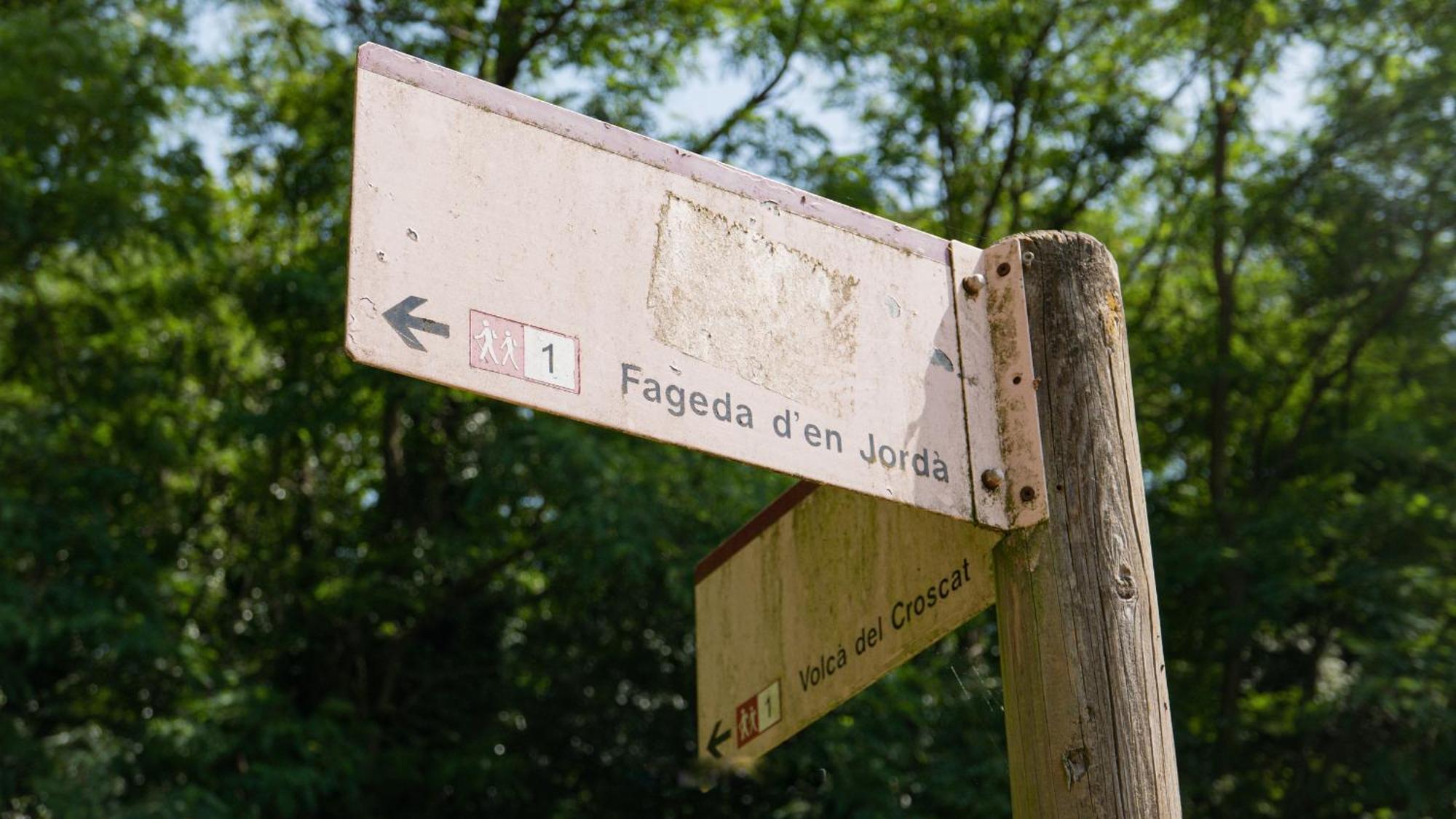 Can Baseia - amb jardí i accés privat a La Fageda Santa Pau Exterior foto
